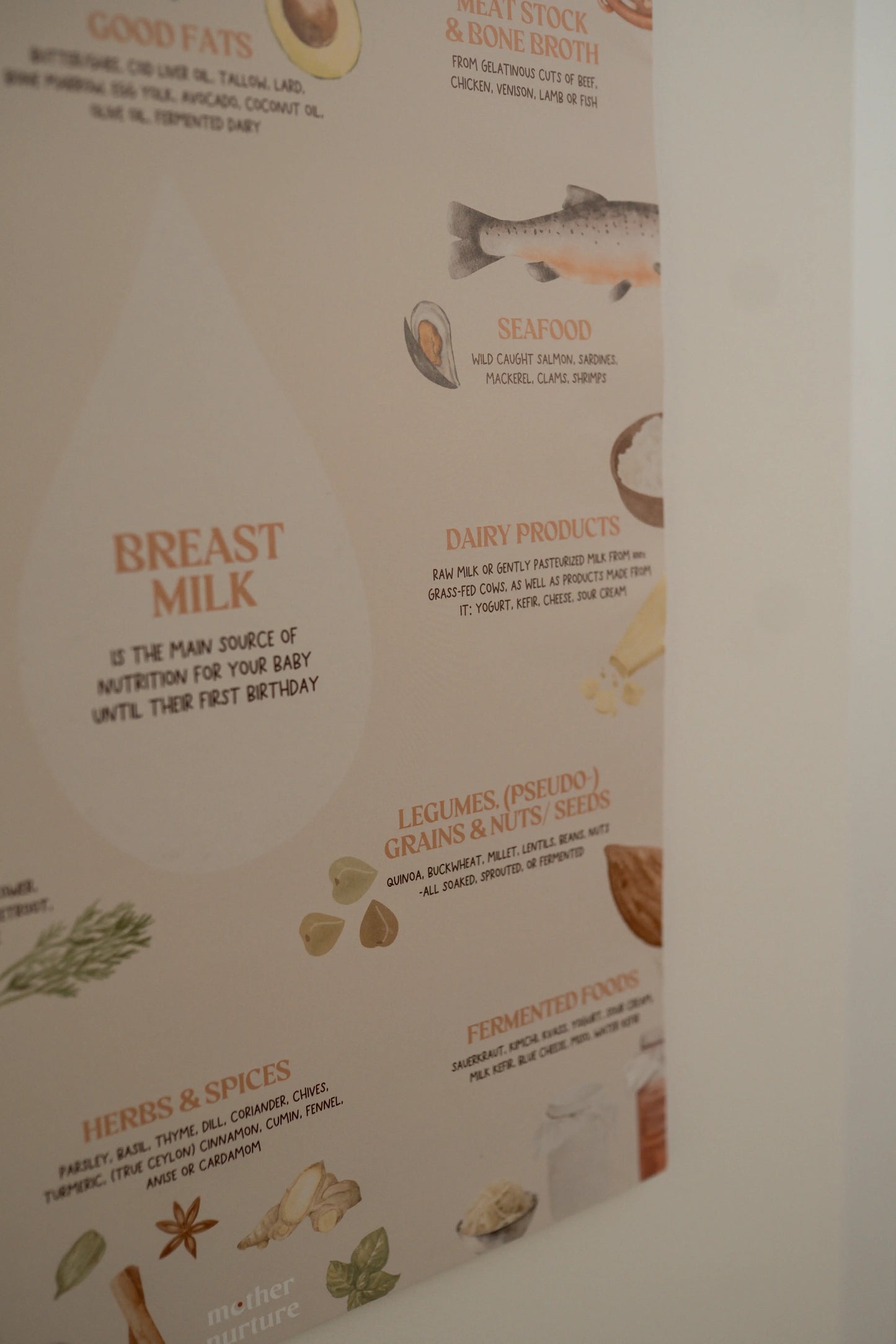 Real Food Baby – Nährstoff-Poster