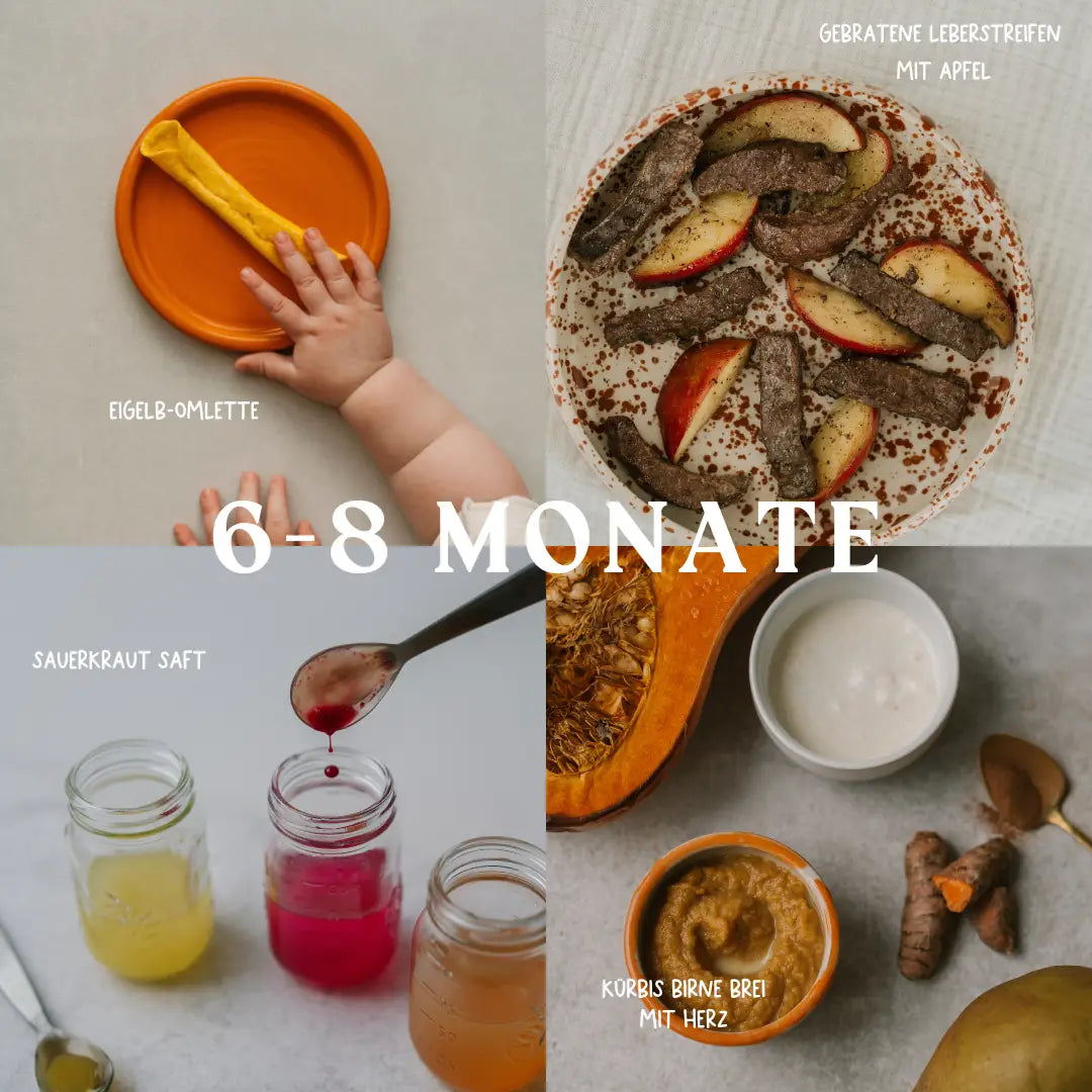 Beikost im Alter von 6-8 Monate