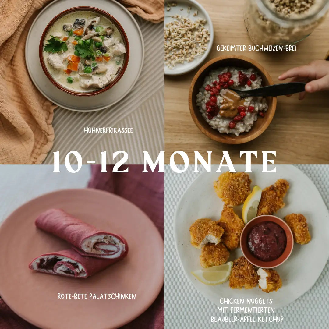 Beikost im Alter von 10-12 Monate