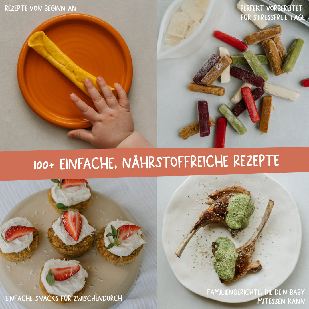 Bundle | Nourished Baby