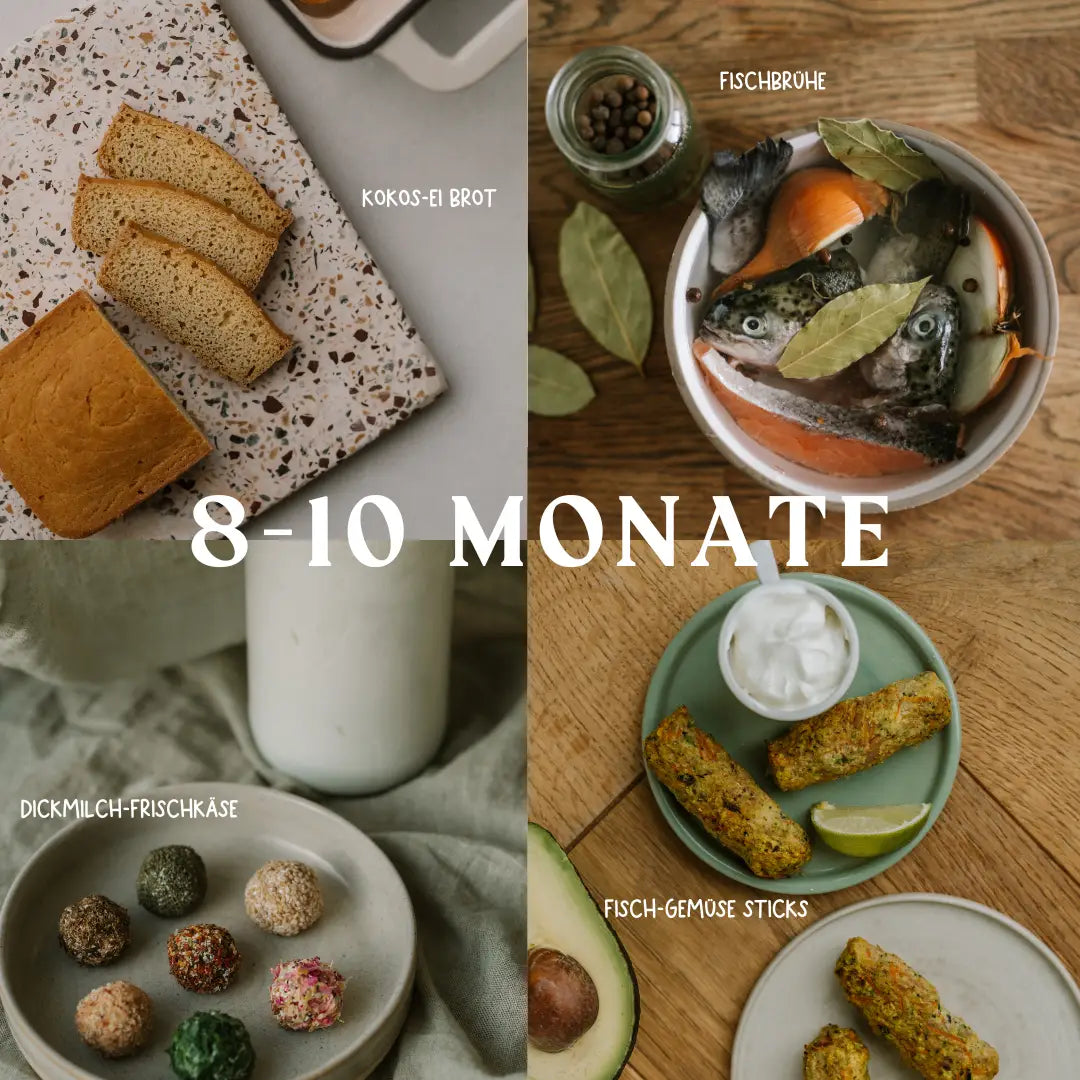 Beikost im Alter von 8-10 Monate