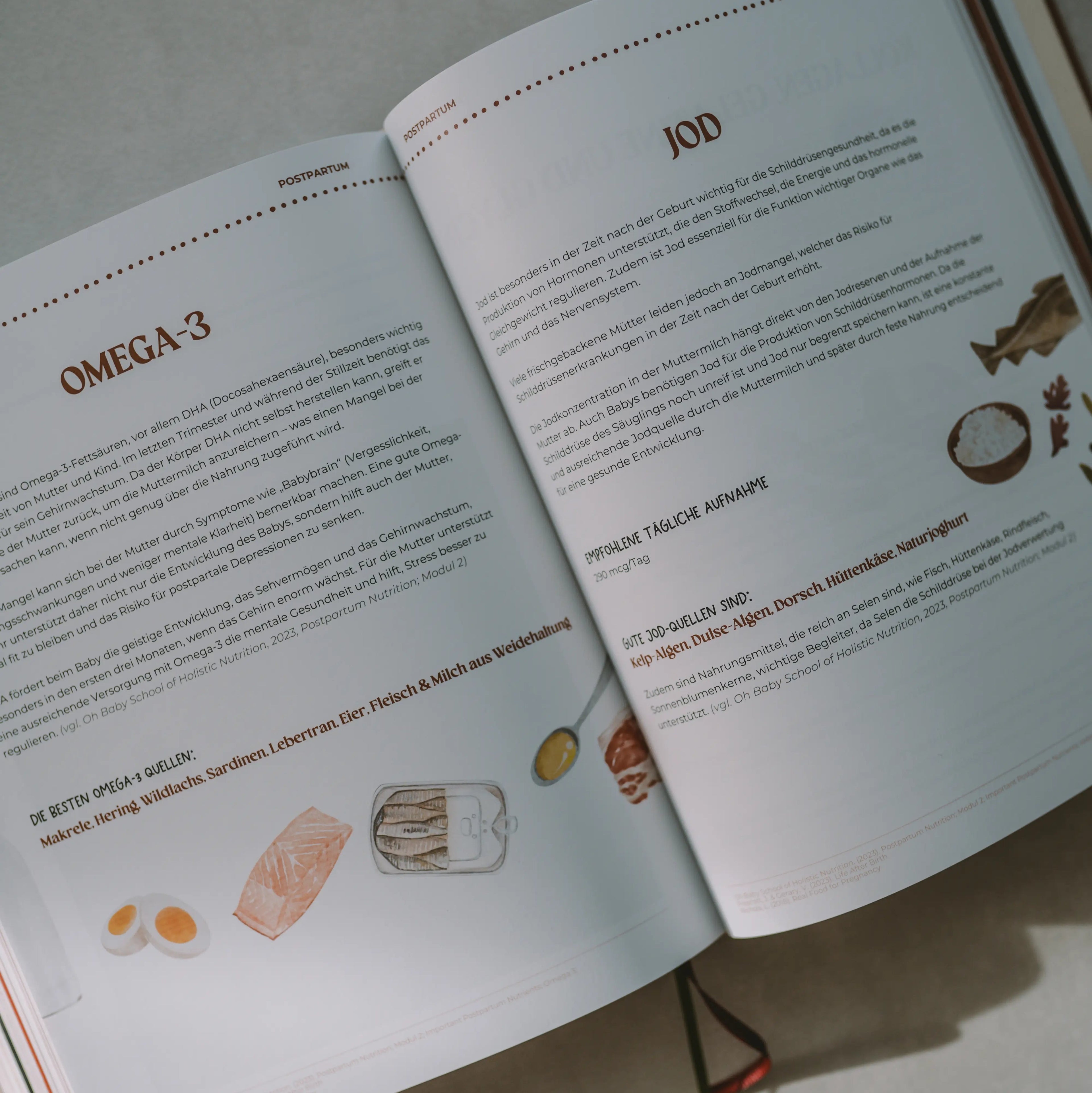 Wertvolles Ernährungswissen in unserem Kochbuch