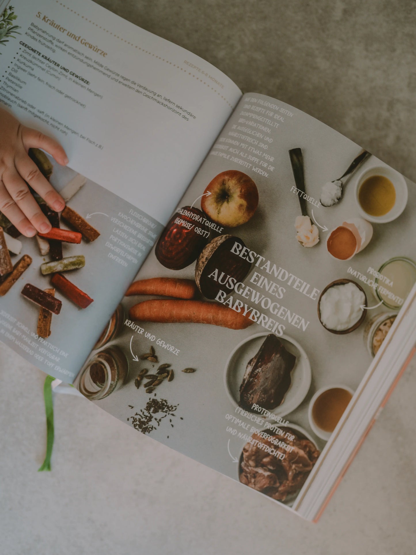 Nourished Baby - Beikost- & Familienernährung