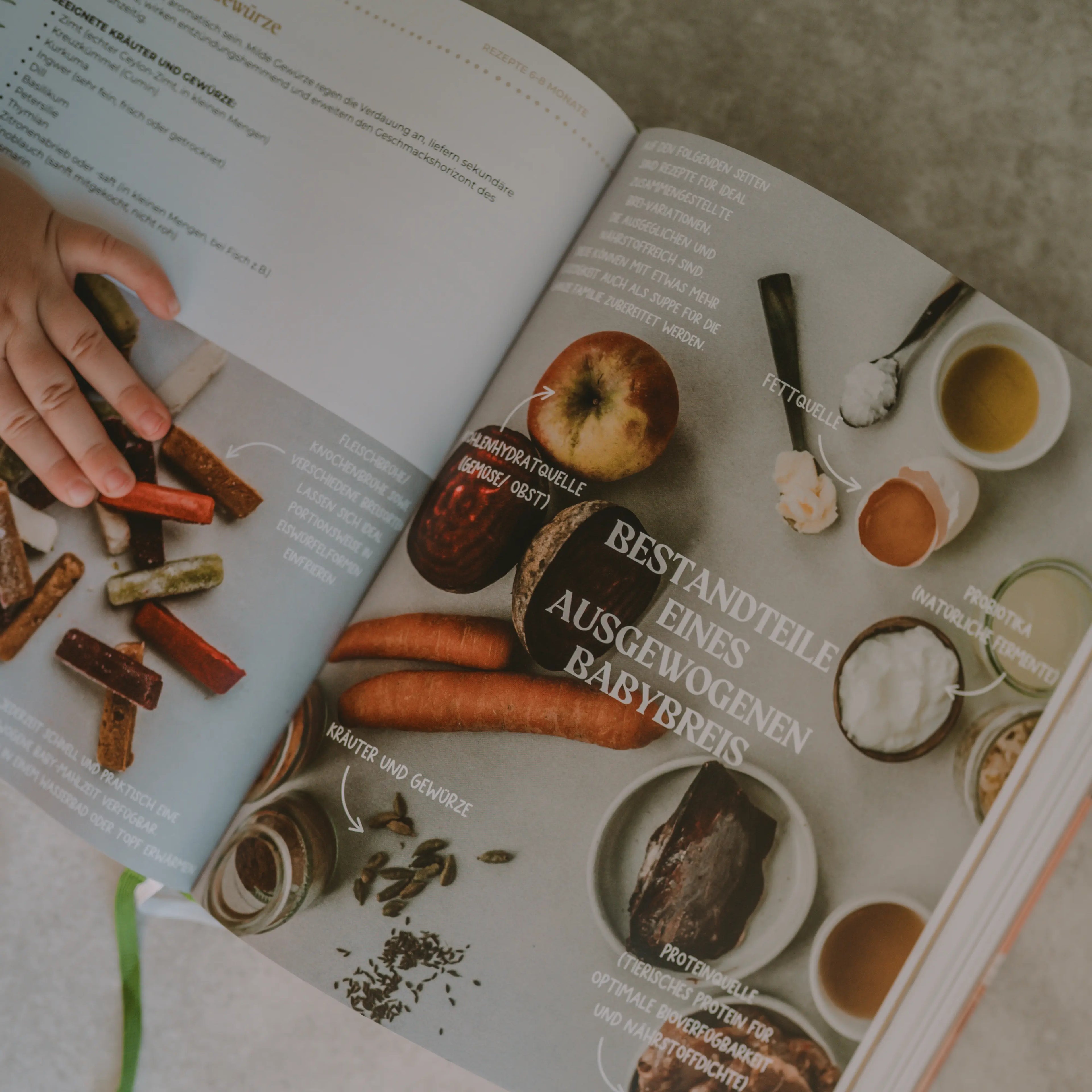 Nourished Baby Kochbuch Inhalt