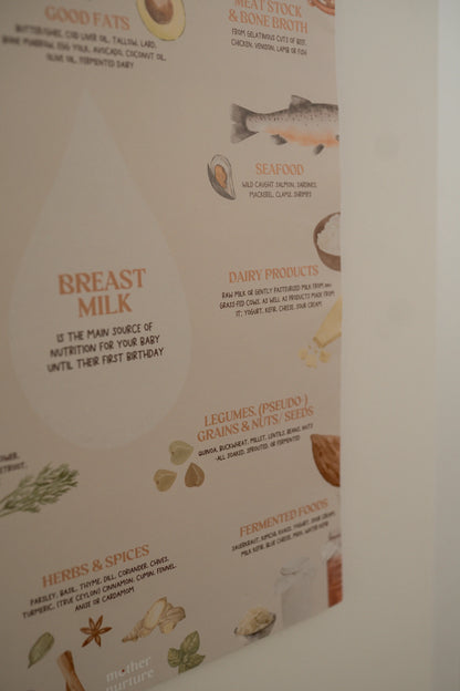 Real Food Baby – Nährstoff-Poster