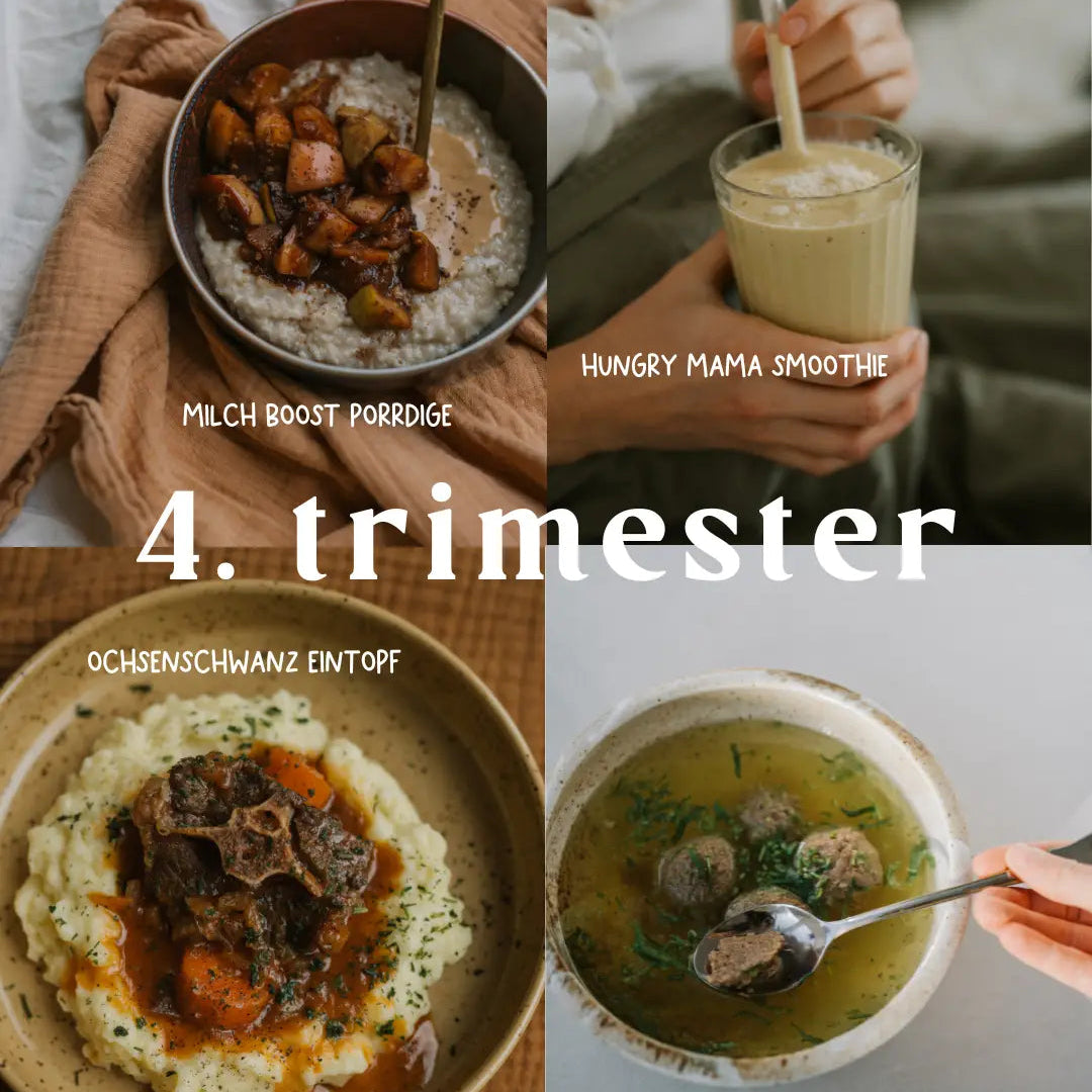 Rezepte für die Stillzeit mit nährstoffreichen Zutaten zur Unterstützung der Milchbildung.