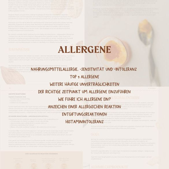 Allergene Beikost