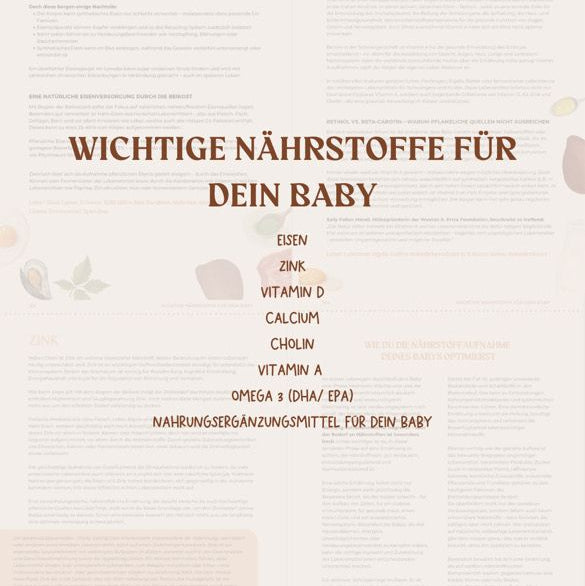 Nährstoffe in der Beikost-Zeit